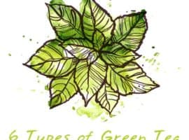 type of green tea
