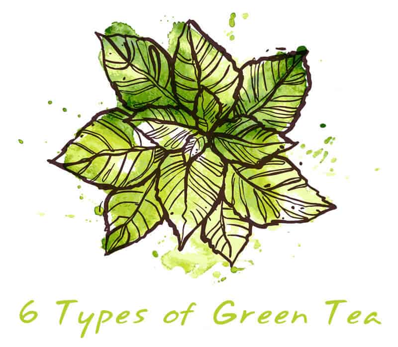 type of green tea
