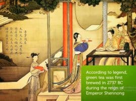 Green Tea Wikipedia