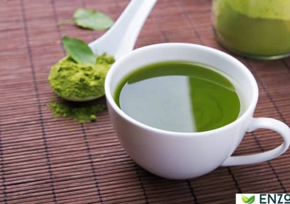 enzo matcha green tea