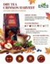 Autumn Apple Harvest: Fall Tea Pairing Guide
