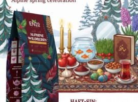 Nowruz Persian New Year: Spring Celebration Traditions