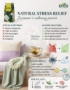 Stress Relief Ritual: Wellness Sanctuary Through Tea