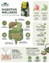 Digestive Wellness Support: General Gut Health Habits