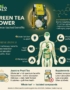 Green Tea Health Benefits: Science-Backed Wellness